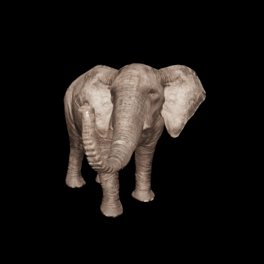 Sumatran elephant