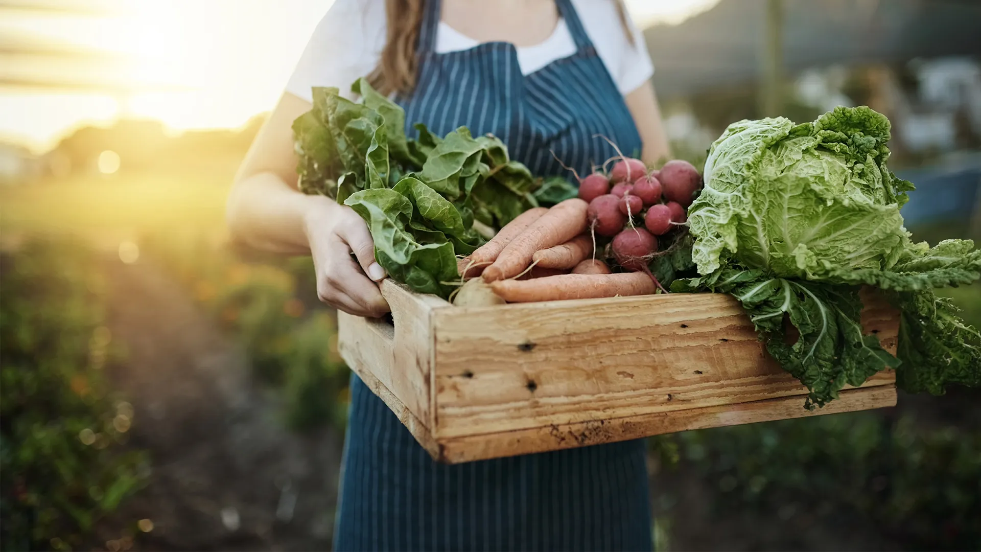 Farm to table harvest