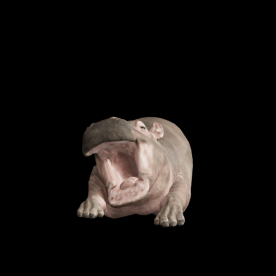 Pygmy hippo